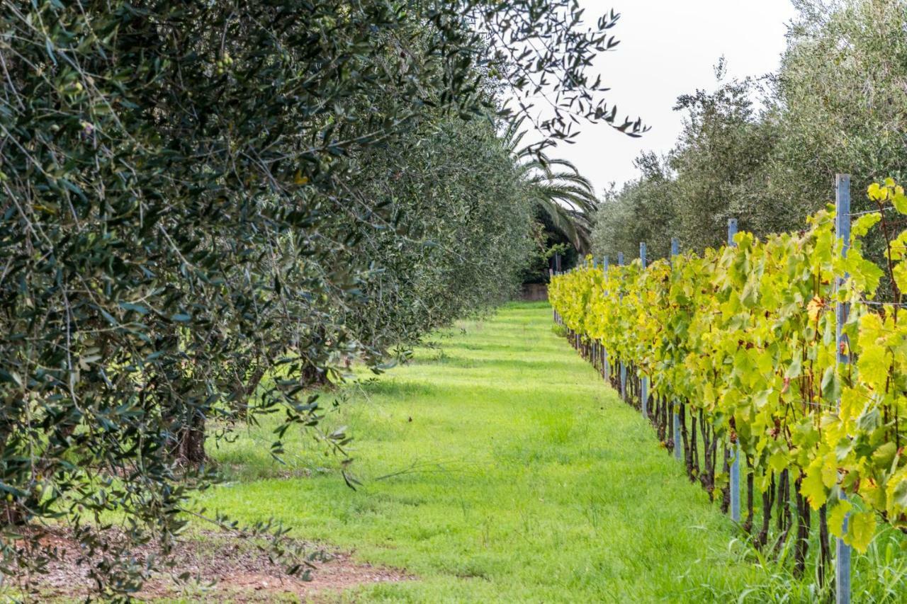 Agriturismo Villa Isa Follonica Exterior photo